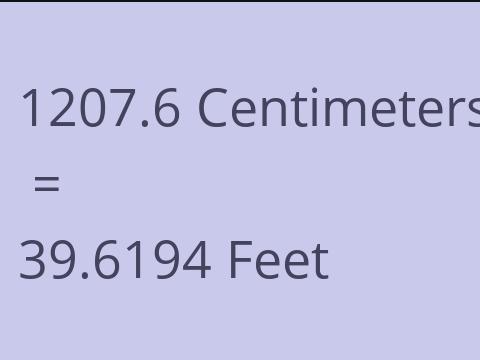 1207.6 CM TO FEET