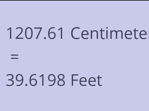 1207.61 CM TO FEET