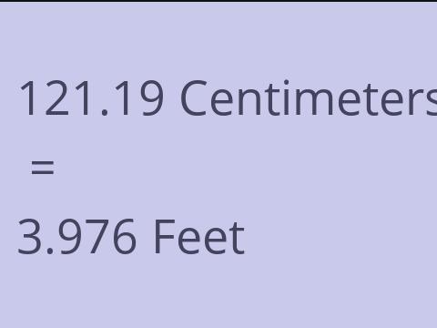 121.19 CM TO FEET