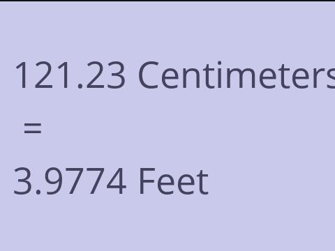 121.23 CM TO FEET