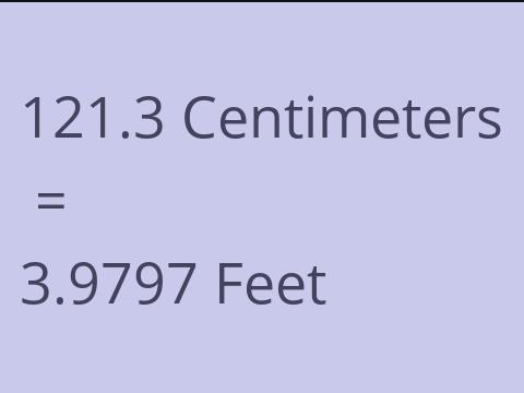 121.3 CM TO FEET