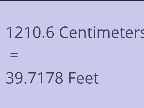 1210.6 CM TO FEET