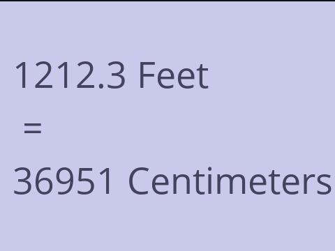 1212.3 FEET TO CM