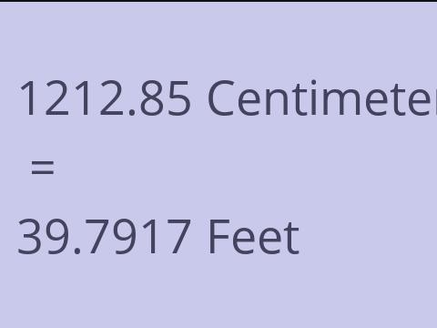 1212.85 CM TO FEET