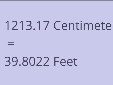 1213.17 CM TO FEET