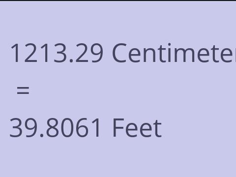 1213.29 CM TO FEET