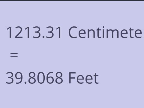 1213.31 CM TO FEET