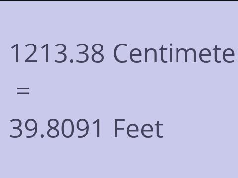 1213.38 CM TO FEET