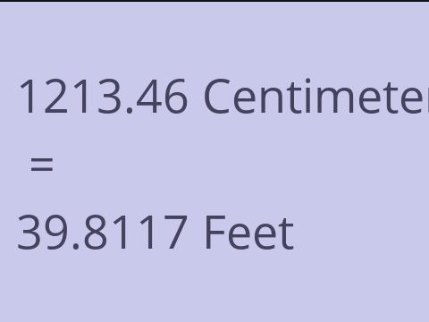 1213.46 CM TO FEET