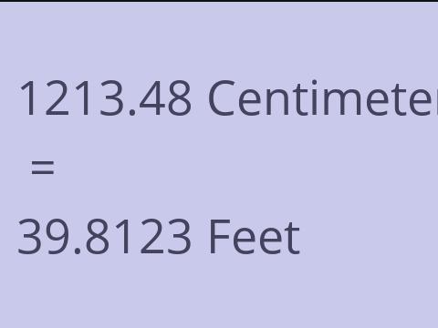 1213.48 CM TO FEET