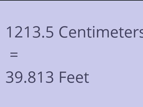 1213.5 CM TO FEET