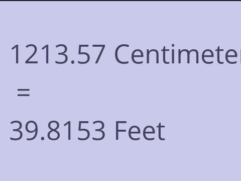 1213.57 CM TO FEET