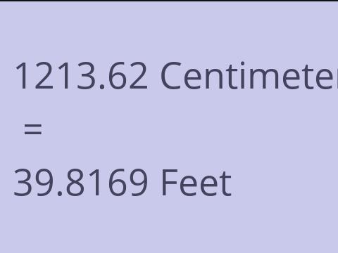 1213.62 CM TO FEET