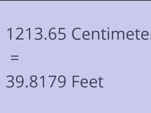 1213.65 CM TO FEET