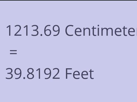 1213.69 CM TO FEET