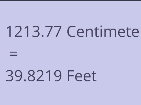 1213.77 CM TO FEET