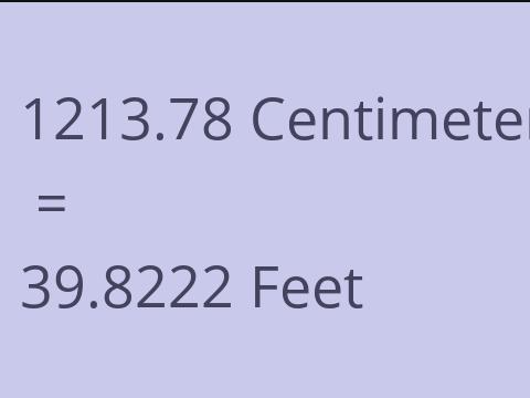 1213.78 CM TO FEET