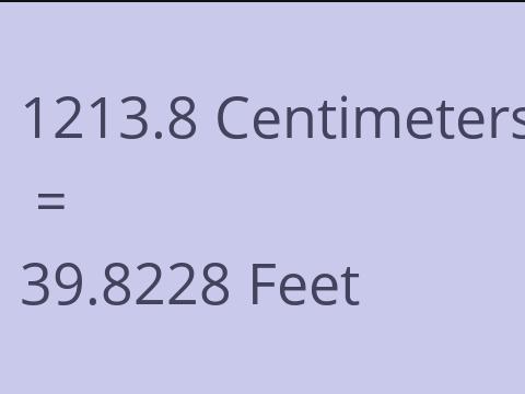 1213.8 CM TO FEET