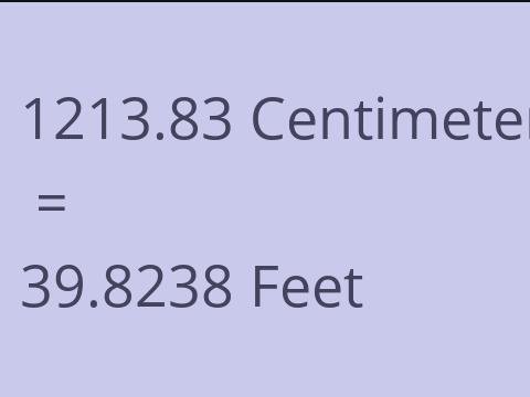 1213.83 CM TO FEET