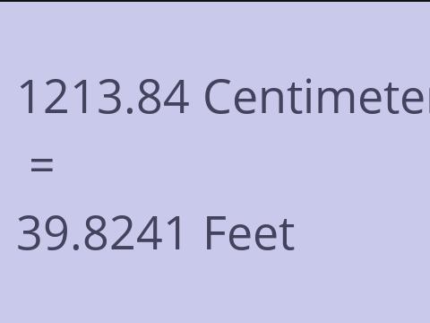 1213.84 CM TO FEET