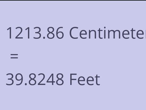 1213.86 CM TO FEET