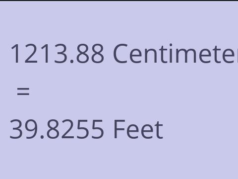 1213.88 CM TO FEET