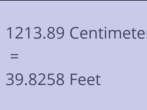 1213.89 CM TO FEET