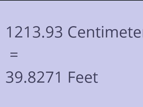 1213.93 CM TO FEET