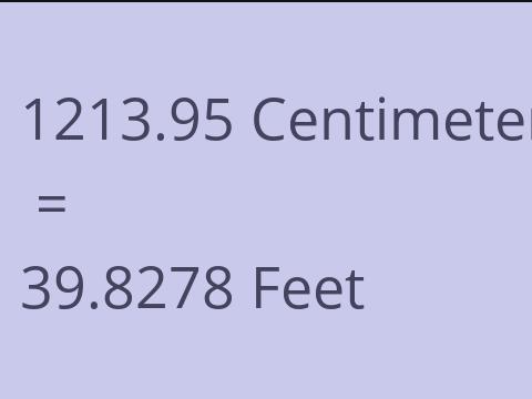 1213.95 CM TO FEET