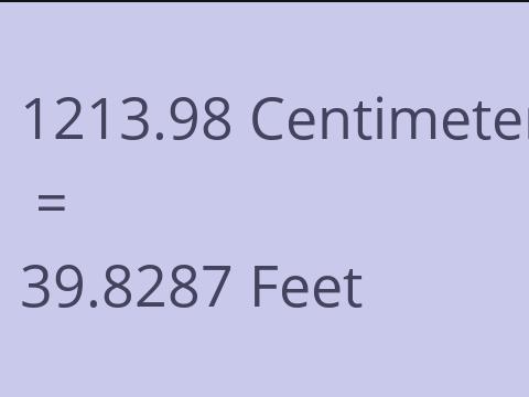 1213.98 CM TO FEET