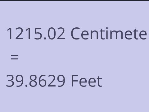 1215.02 CM TO FEET