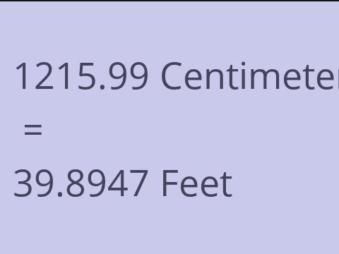 1215.99 CM TO FEET