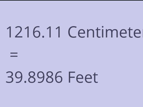 1216.11 CM TO FEET