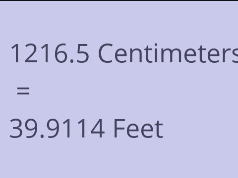 1216.5 CM TO FEET