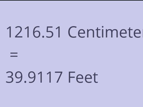 1216.51 CM TO FEET