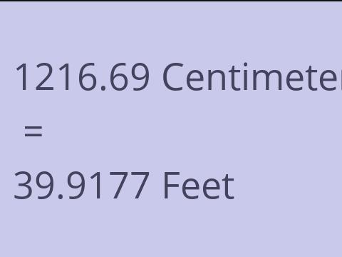 1216.69 CM TO FEET