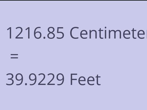 1216.85 CM TO FEET