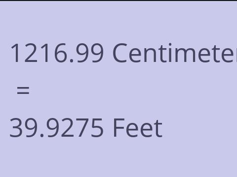 1216.99 CM TO FEET