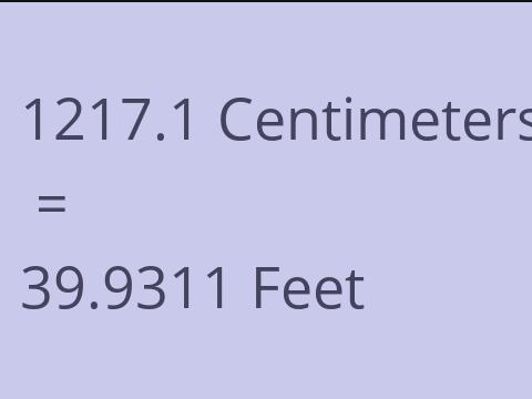 1217.1 CM TO FEET