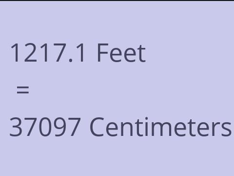 1217.1 FEET TO CM