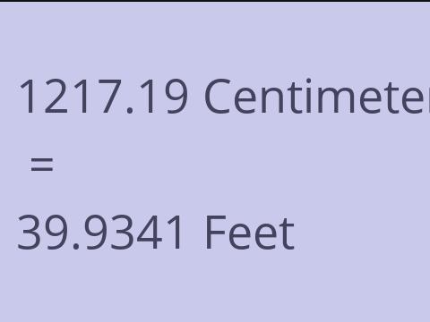 1217.19 CM TO FEET