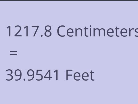 1217.8 CM TO FEET