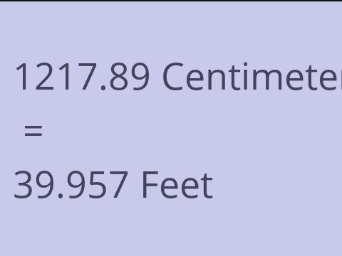 1217.89 CM TO FEET