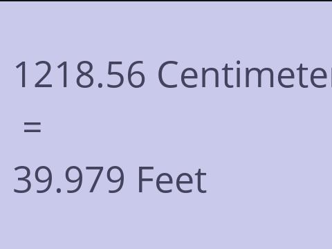 1218.56 CM TO FEET