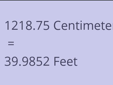 1218.75 CM TO FEET