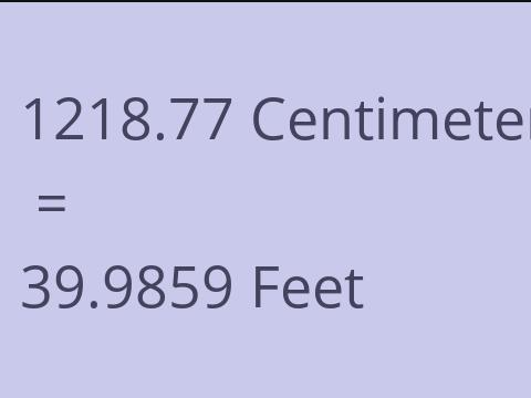 1218.77 CM TO FEET