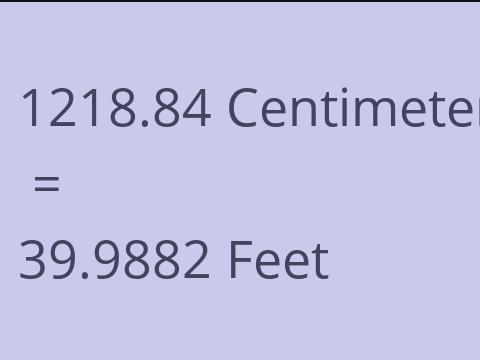 1218.84 CM TO FEET