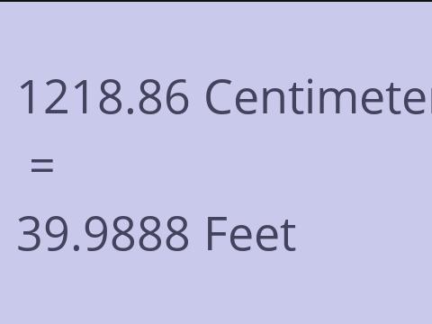 1218.86 CM TO FEET