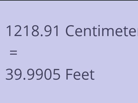 1218.91 CM TO FEET