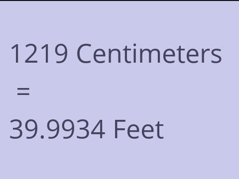 1219 CM TO FEET